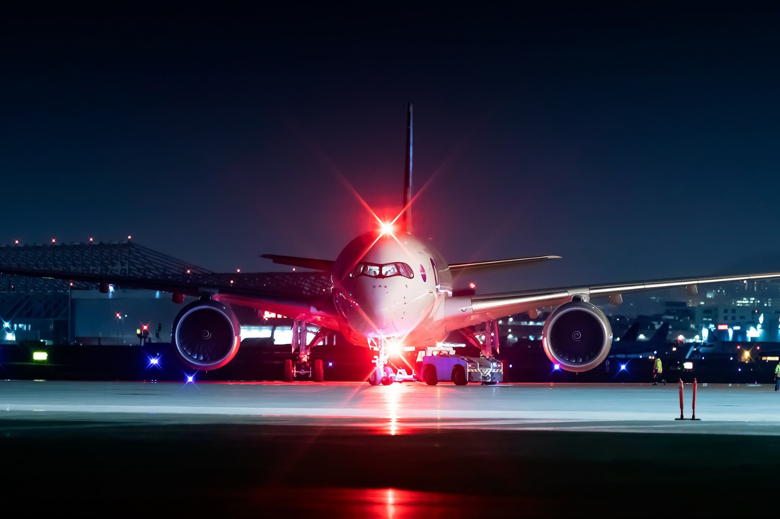 COMMERCIAL AIRLINE TICKETING & RESERVATION